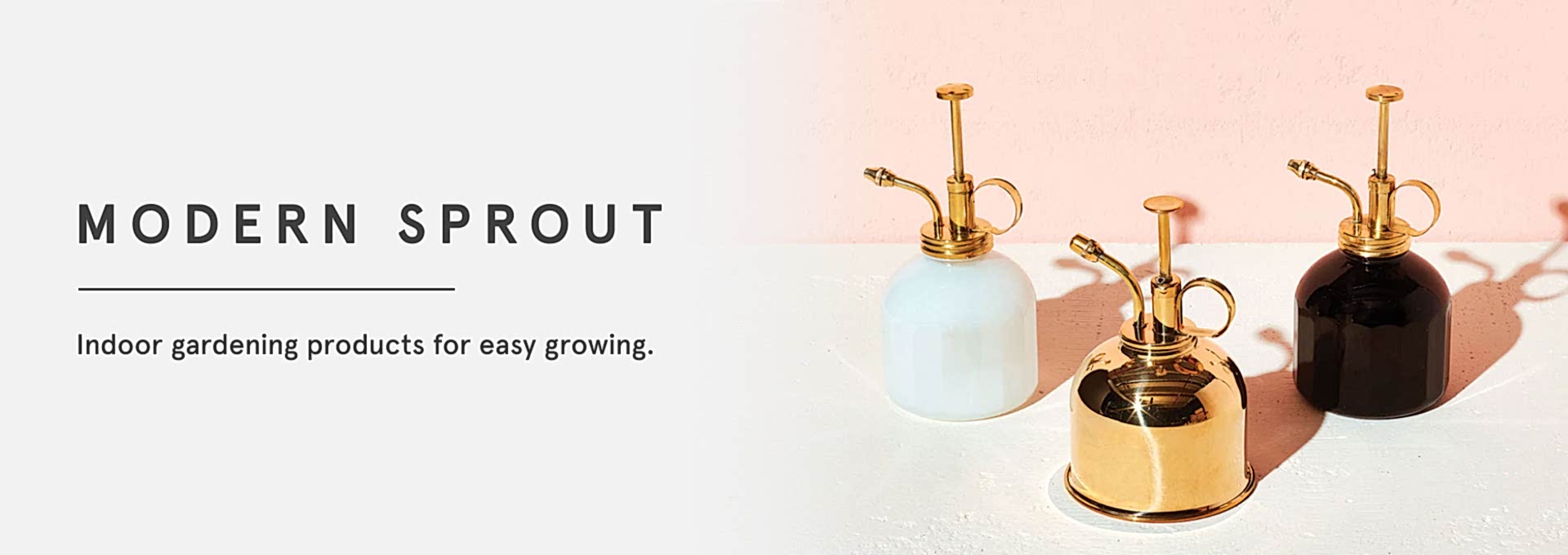Modern Sprout