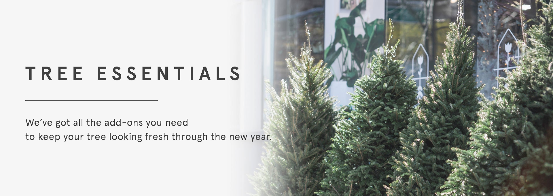 Christmas Trees Add Ons