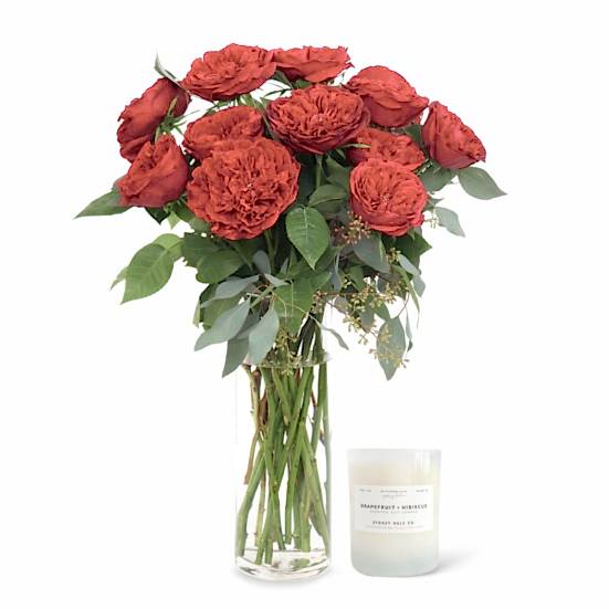 Red Garden Roses + Sydney Hale Candle Housewarming
