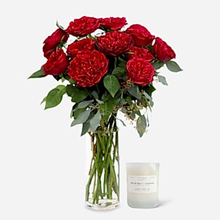 Red Garden Roses + Sydney Hale Candle