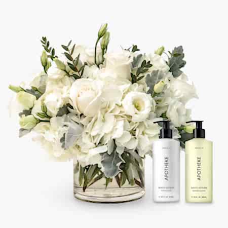 Emily + Apotheke Bundle