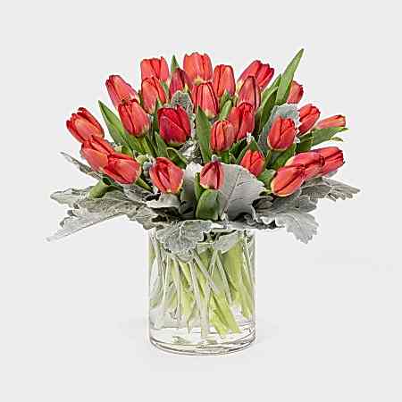 Forever Tulips