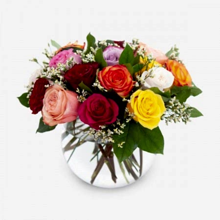 Multicolor Rose Garden 