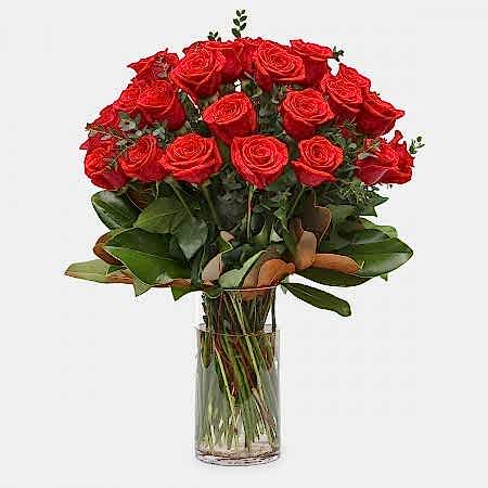 3-Dozen Elegant Roses