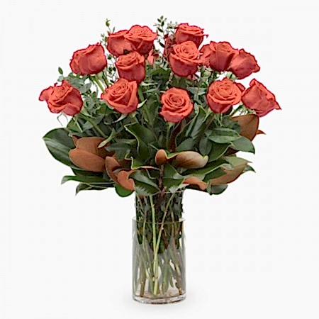 2-Dozen Elegant Roses 