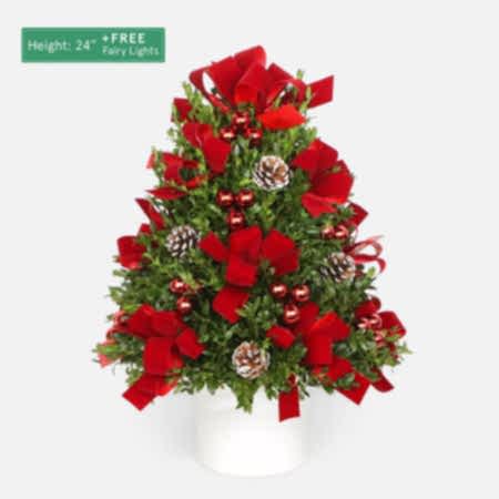 Decorated Boxwood Tree