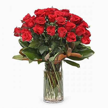 4-Dozen Elegant Roses