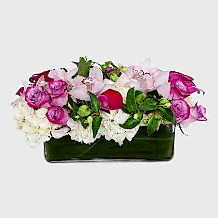 Blush Blossoms 