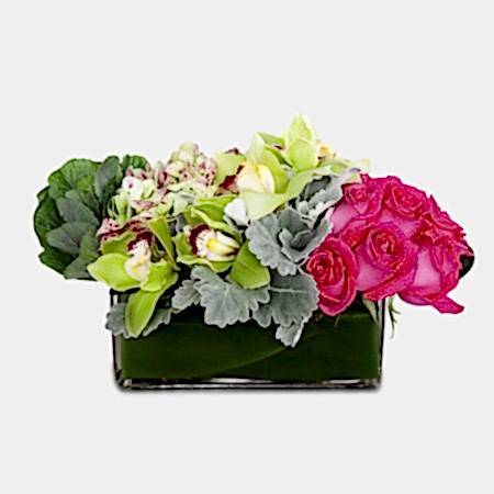 Pretty Petals
