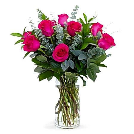 1-Dozen Bright Pink Roses