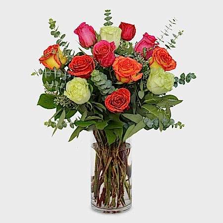 1-Dozen Multicolor Roses