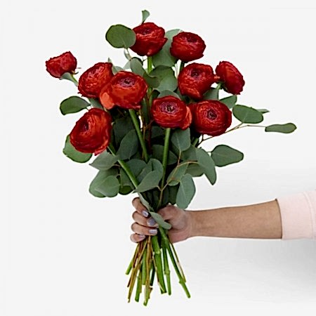 Fire Red Ranunculus Bouquet