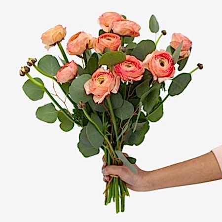 Peach Ranunculus Bouquet