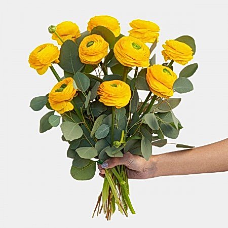 Yellow Ranunculus Bouquet