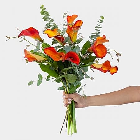Mango Calla Lily Bouquet