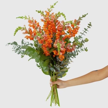 Orange Snapdragon Bouquet
