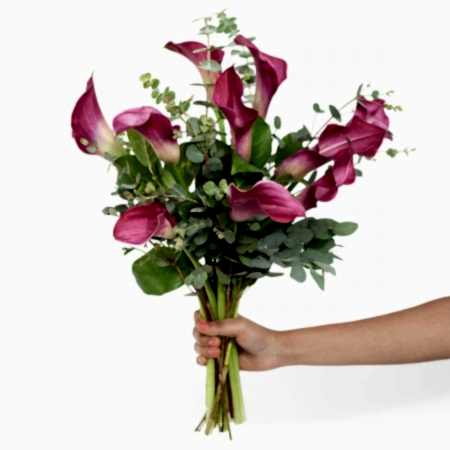 Dark Pink Calla Lily Bouquet 