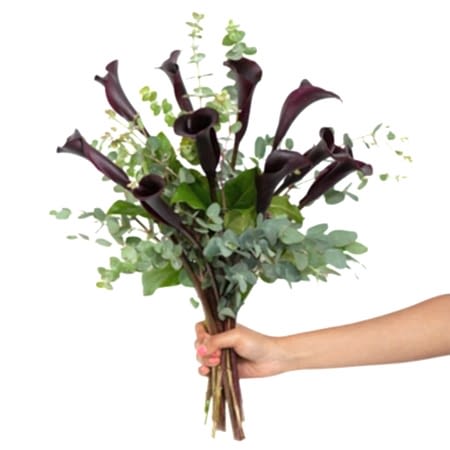 Black Calla Lily Bouquet