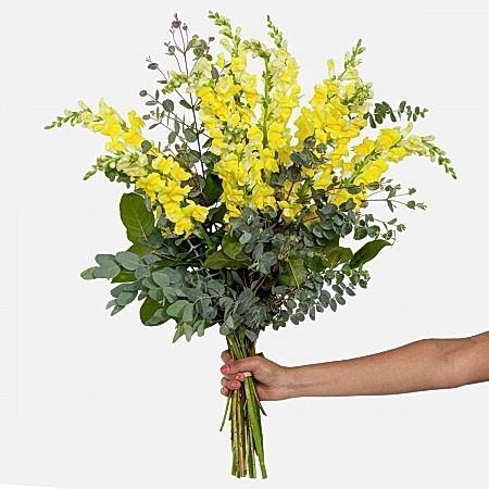 Yellow Snapdragon Bouquet