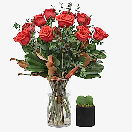 1-Dozen Elegant Roses + Sweetheart Plant