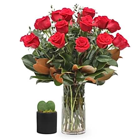 2-Dozen Elegant Roses + Sweetheart Plant