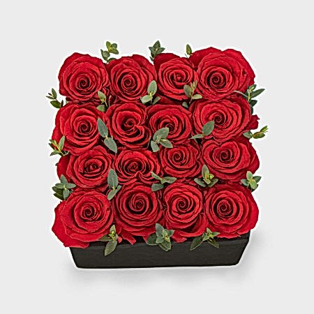 Red Rose Garden
