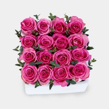 Pink Rose Garden