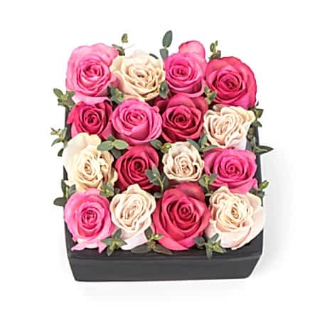 Blushing Rose Garden