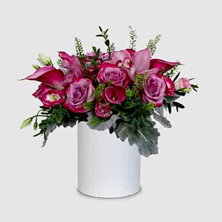 Cerise