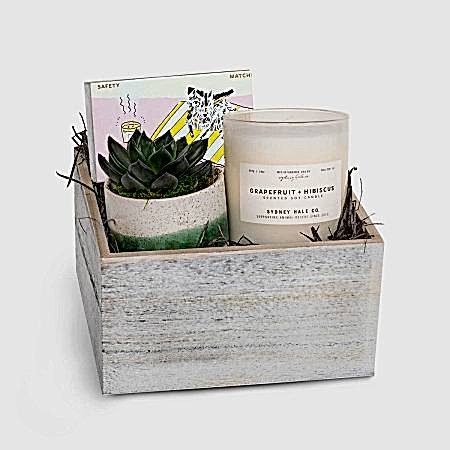 Candle & Succulent Gift Box