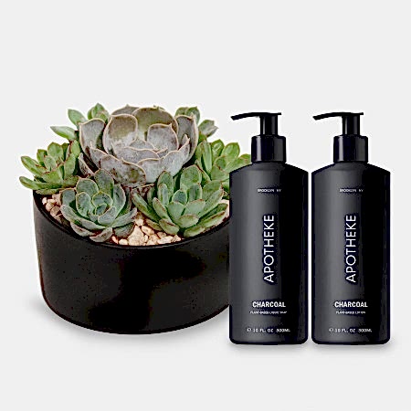 Succulent Dish + Apotheke Bundle
