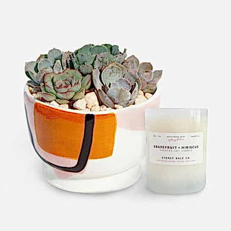 Sharona Succulent Garden + Sydney Hale Candle