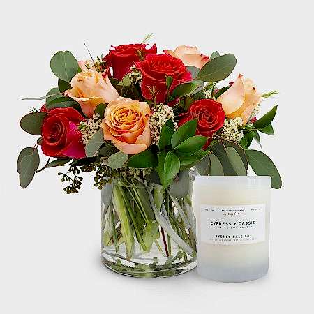 En Provence + Sydney Hale Candle