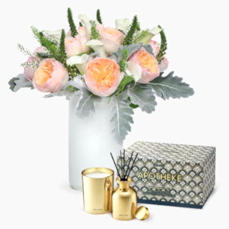 Alodia + Apotheke Mini Duo