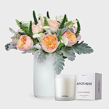 Alodia + Apotheke Candle
