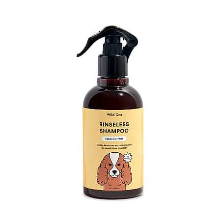 Wild One Cedar & Citrus Rinseless Shampoo