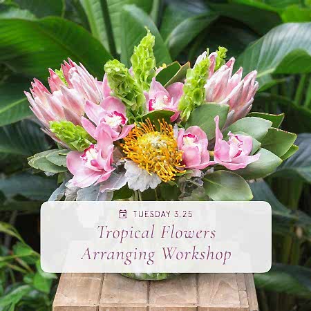 Floral Arranging with Tropical Flowers - Mar 25th