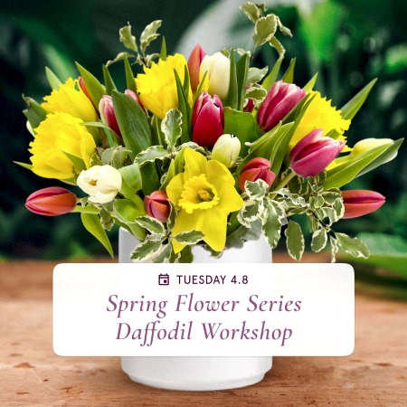 Spring Flower Series: Daffodil Arrangements - Apr 8th
