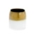 5.75'' Claire Pot