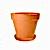 12'' Clay Pot / Saucer