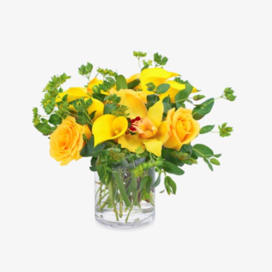 Soleil Orchids