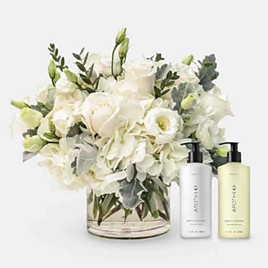 Emily + Apotheke Bundle Lisianthus
