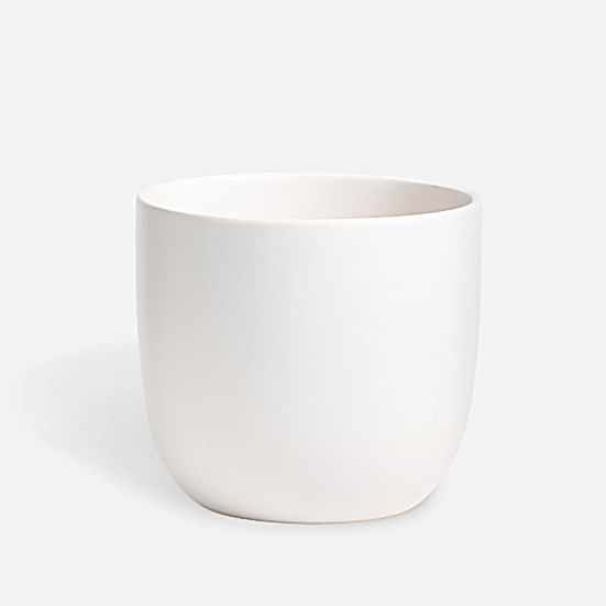 5'' White Egg Pottery