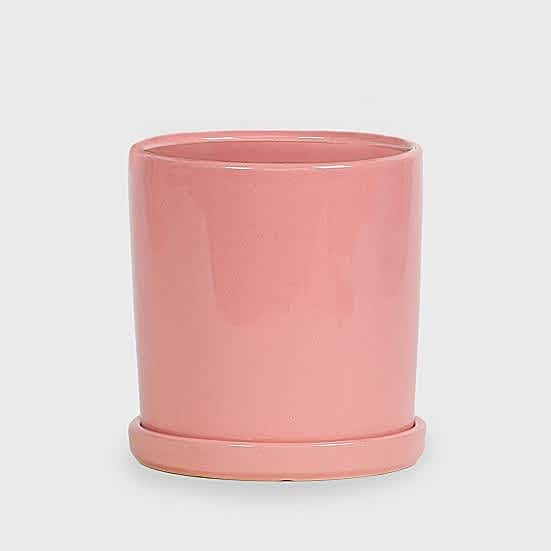 8'' Baby Pink Ceramic + Saucer Containers/Planters