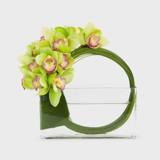 Fantasy Cymbidium Orchids Housewarming