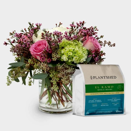 Tender Affection + PlantShed Coffee Lisianthus