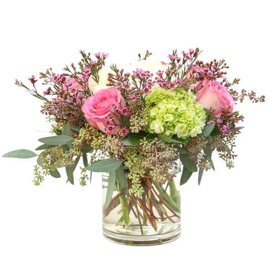 Tender Affection Hydrangeas