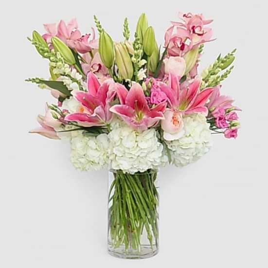 Erato Lisianthus