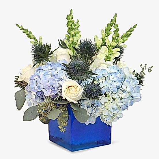 Azure Hydrangeas