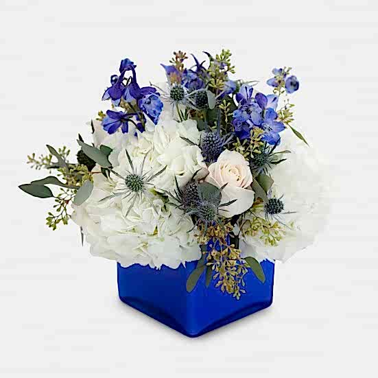 Cerulean Hydrangeas